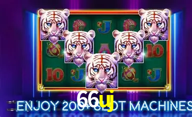 Flash Promotion 66uj